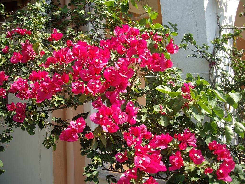 Athina Apartments Kato Korakiana Екстер'єр фото